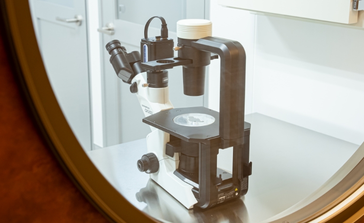 技術を駆使した精度の高い治療