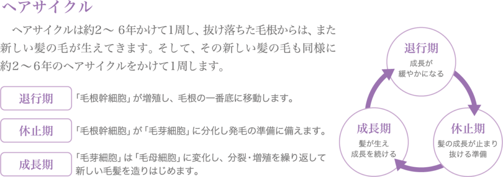 ヘアサイクル