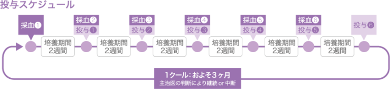 投与スケジュール