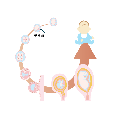 再生医療とは